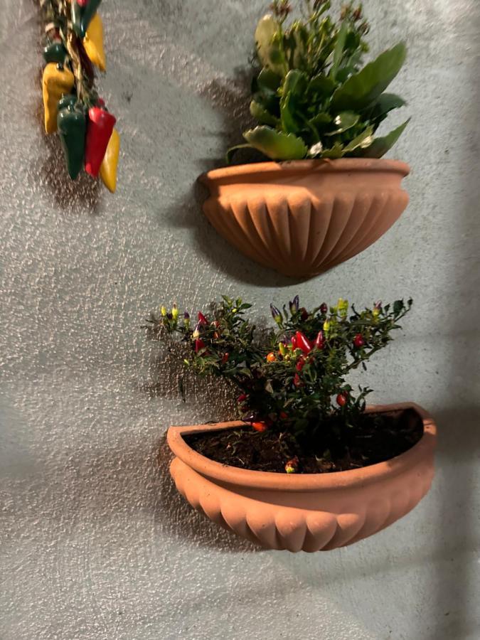 Apartament Tiny House - Spaccanapoli Zewnętrze zdjęcie